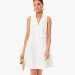 Tuckernuck Blue Oxford Sleeveless Dress